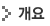 개요