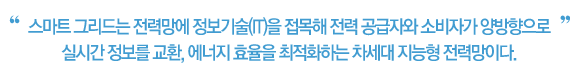 스마트 그리드는 전력망에 정보기술(IT)을 접목해 전력 공급자와 소비자가 양방향으로 실시간 정보를 교환, 에너지 효율을 최적화하는 차세대 지능형 전력망이다.
