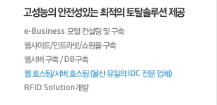 고성능의 안전성있는 최적의 토탈솔루션 제공  e-Business 모델 컨설팅 및 구축  웹사이트/인트라넷/쇼핑몰 구축  웹서버 구축 / DB구축  웹 호스팅/서버 호스팅 (울산 유일의 IDC 전문 업체)  RFID Solution개발 